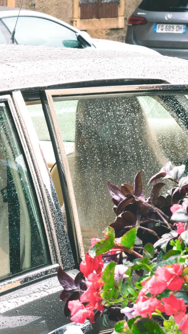 Mariage Florian & Kristina — photo 35